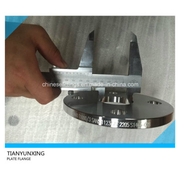 Dn40 Sans1123 Plate Flange Stainless Steel Flange